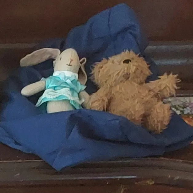 A bunny plushie and bear plushie.