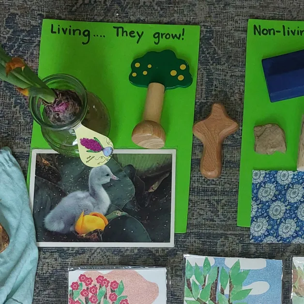 Two mats, one with the caption "Living... They grow!" and the other partially in the frame with a caption starting with "Nonliving". Placed on the first mat are a small plant, a wooden representation of a tree, and a photo of a baby bird.